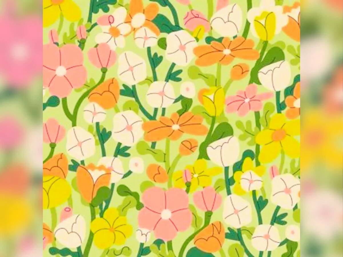 Picture Credit: Hopes Grove Nurseries