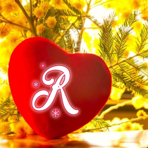 জ্যোতিষীর মতে, যাদের নাম 'R' দিয়ে শুরু হয় তারা কোনও সিদ্ধান্ত নেওয়ার আগে ভাল করে চিন্তা করে । তারা যখন তাদের সঙ্গী নির্বাচন করেন, তখনও খুব ভেবেচিন্তে তা করেন। অতএব, তাদের সিদ্ধান্তগুলি বেশিরভাগই সঠিক বলে প্রমাণিত হয় ৷ প্রতিটি সমস্যার সমাধানও তারা দ্রুত খুঁজে পান।