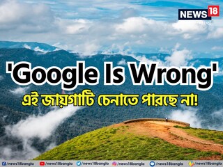 গুগল যখন ভুল