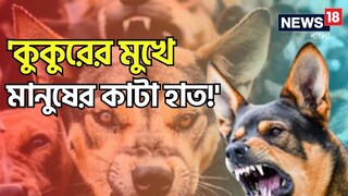 প্রতীকী ছবি