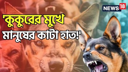 প্রতীকী ছবি প্রতীকী ছবি