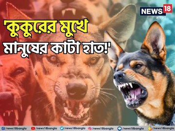 প্রতীকী ছবি