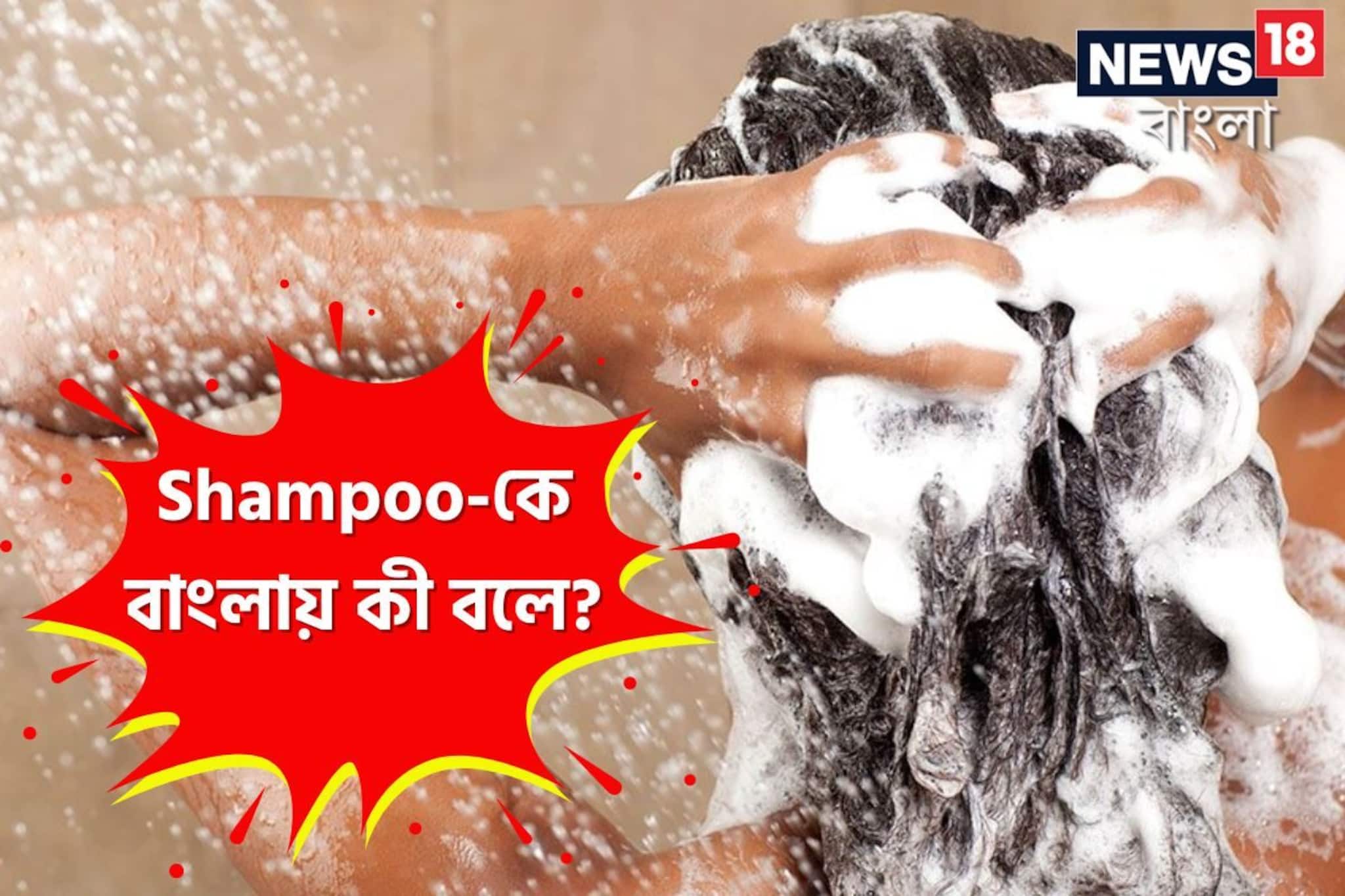 বলুন তো, Shampoo-র বাংলা কী? উত্তর দিতে গিয়ে হোঁচট খাচ্ছেন অনেকেই