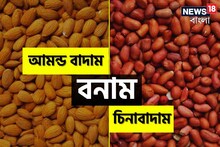 দামি দামি আমন্ড? না সস্তার চিনাবাদাম! কোন ড্রাইফ্রুট খাবেন? কোনটি বেশি পুষ্টিকর?
