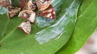 মর্মান্তিক! খাওয়ার পর মুখশুদ্ধিই কাল হল...গলায় সুপারি আটকে সব শেষ 