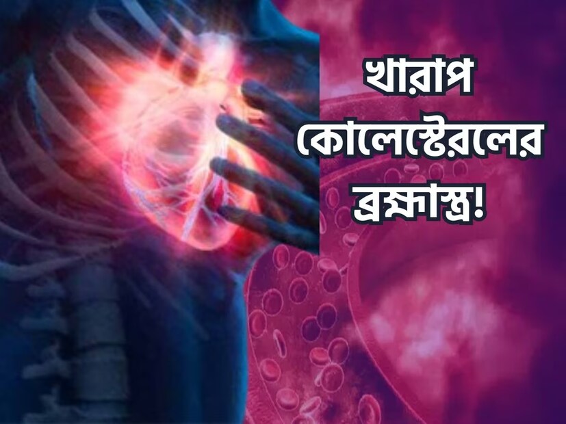 মানসিক চাপ ও অস্বাস্থ্যকর জীবনযাত্রার কারণে বর্তমানে কোলেস্টেরল একটি বড় সমস্যা হয়ে দাঁড়িয়েছে। কোলেস্টেরল বৃদ্ধির কারণে হার্ট অ্যাটাকের ঝুঁকিও বহুগুণ বেড়ে যায়। কোলেস্টেরলের মাত্রা কম রাখার জন্য ডায়েট, ওষুধ এবং ব্যায়ামের পরামর্শ দিয়ে থাকেন স্বাস্থ্য বিশেষজ্ঞরা৷