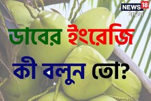নারকেল তো সবার জানা, বলুন তো ডাবের ইংরেজি কী? আপনি যেটা ভাবছেন সেটা কিন্তু নয়!
