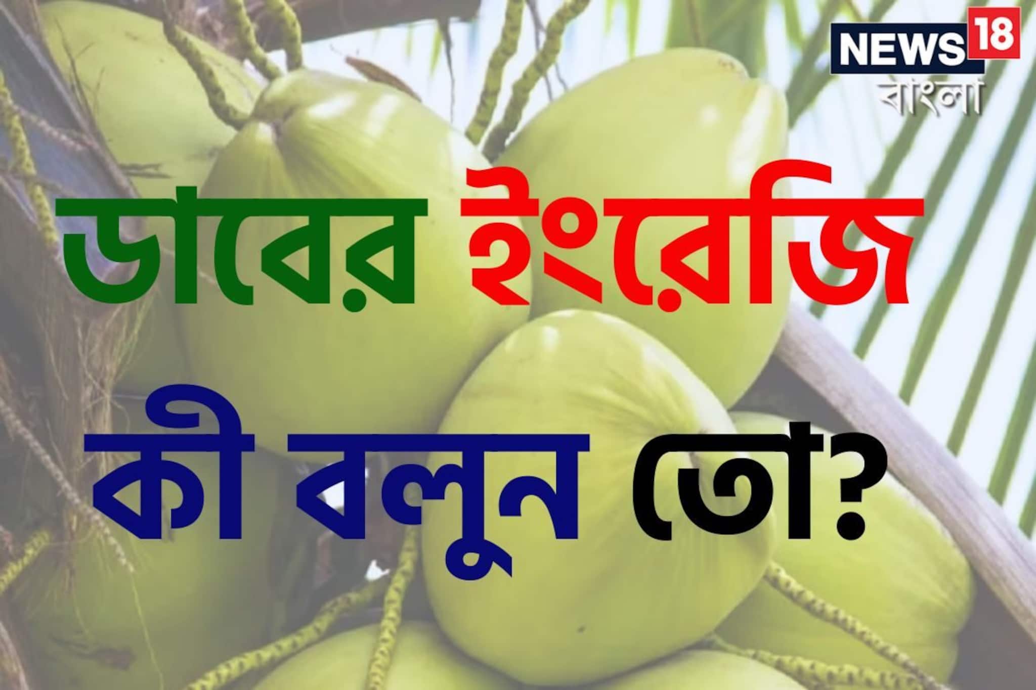নারকেল তো সবার জানা, বলুন তো ডাবের ইংরেজি কী? আপনি যেটা ভাবছেন সেটা কিন্তু নয়!