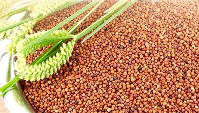 ফাইবার, প্রোটিন, ম্যাগনেসিয়াম, ম্যাঙ্গানিজে ভরা বাজরাও রাখুন ডায়েটে। দীর্ঘ ক্ষণ পেটে থাকে বলে ঘন ঘন খিদে পাওয়ার প্রবণতা কমে। ফলে ওজন বাড়তে পারে না।