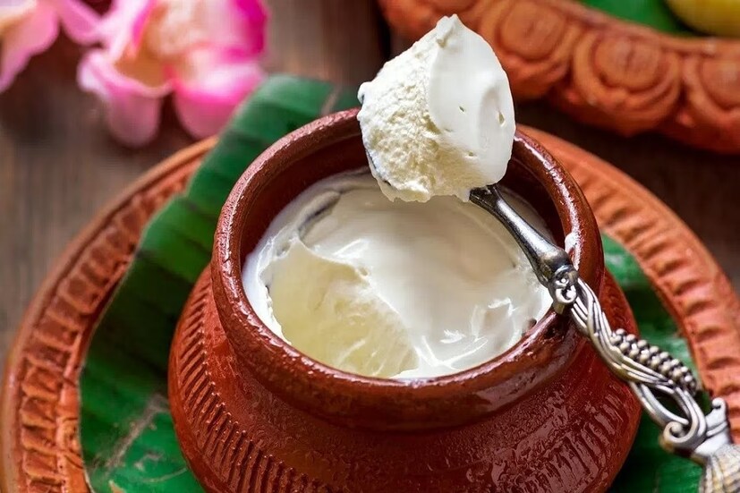 বাংলার আইকনিক হয়ে গিয়েছে মিষ্টি দই৷ মাছ, মিষ্টির সঙ্গে দই বাংলার সমার্থক৷ বাংলার বাইরে রান্নায় বা আলাদা ডিশ হিসেবে বেশি প্রচলিত টক দই৷