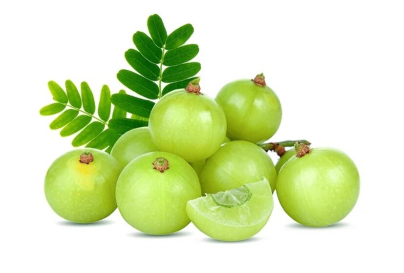 ভিটামিন সি এবং অ্যান্টি অক্সিড্যান্ট ভরা আমলকি চুলের গোড়া পোক্ত করে। কমায় চুল পড়া। ( Disclaimer: এই প্রতিবেদনটি কেবলমাত্র সাধারণ তথ্যের জন্য, তাই বিস্তারিত জানতে হলে সর্বদা বিশেষজ্ঞের পরামর্শ নিন। (সব ছবি-নেটমাধ্যম))