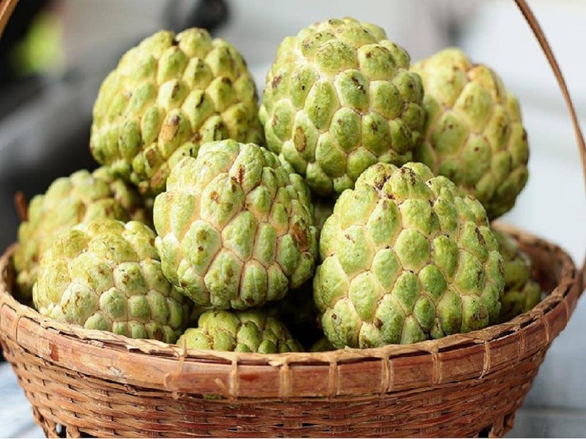 আতায় থাকা পটাসিয়াম এবং ম্যাগনেসিয়াম রক্তচাপ নিয়ন্ত্রণে সাহায্য করে। আতা প্রচুর ফাইবার বা আঁশ সমৃদ্ধ। ফলে আতা নিয়মিত নিয়মিত খেলে হজমের সমস্যা দূরে থাকে।