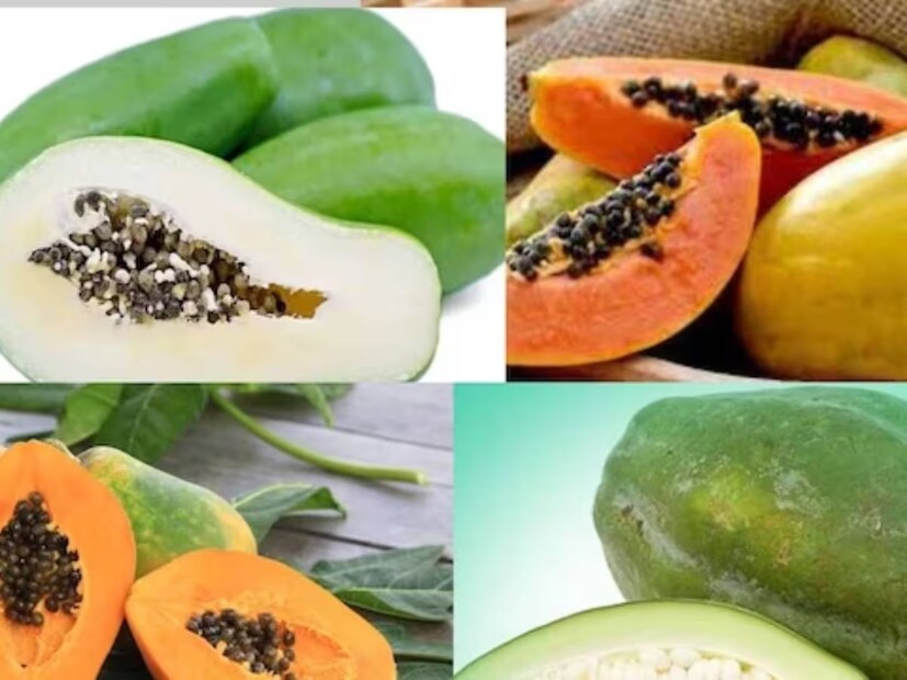 এছাড়াও বাড়িতে কাঁচা পেঁপে থাকলে সেই পেঁপে ব্লেন্ডারে ব্লেন্ড করে নিন । এরপর সেই পেঁপেতে ভিটামিন ই তেল, মধু ও টক দই মিলিয়ে নিন। তারপর ১০ থেকে ১৫ মিনিট রেখে ঠান্ডা জল দিয়ে ধুয়ে ফেলুন। 