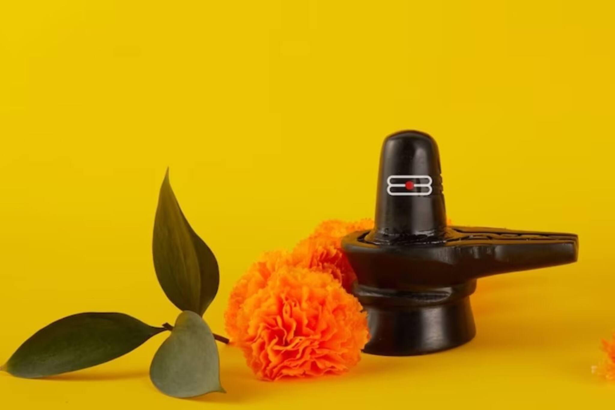 মহাশিবরাত্রির দিন ৪ রাশির ভাগ্যের চাকা ঘুরে যাবে! সৌভাগ্য চড়বে সোনার সিঁড়িতে