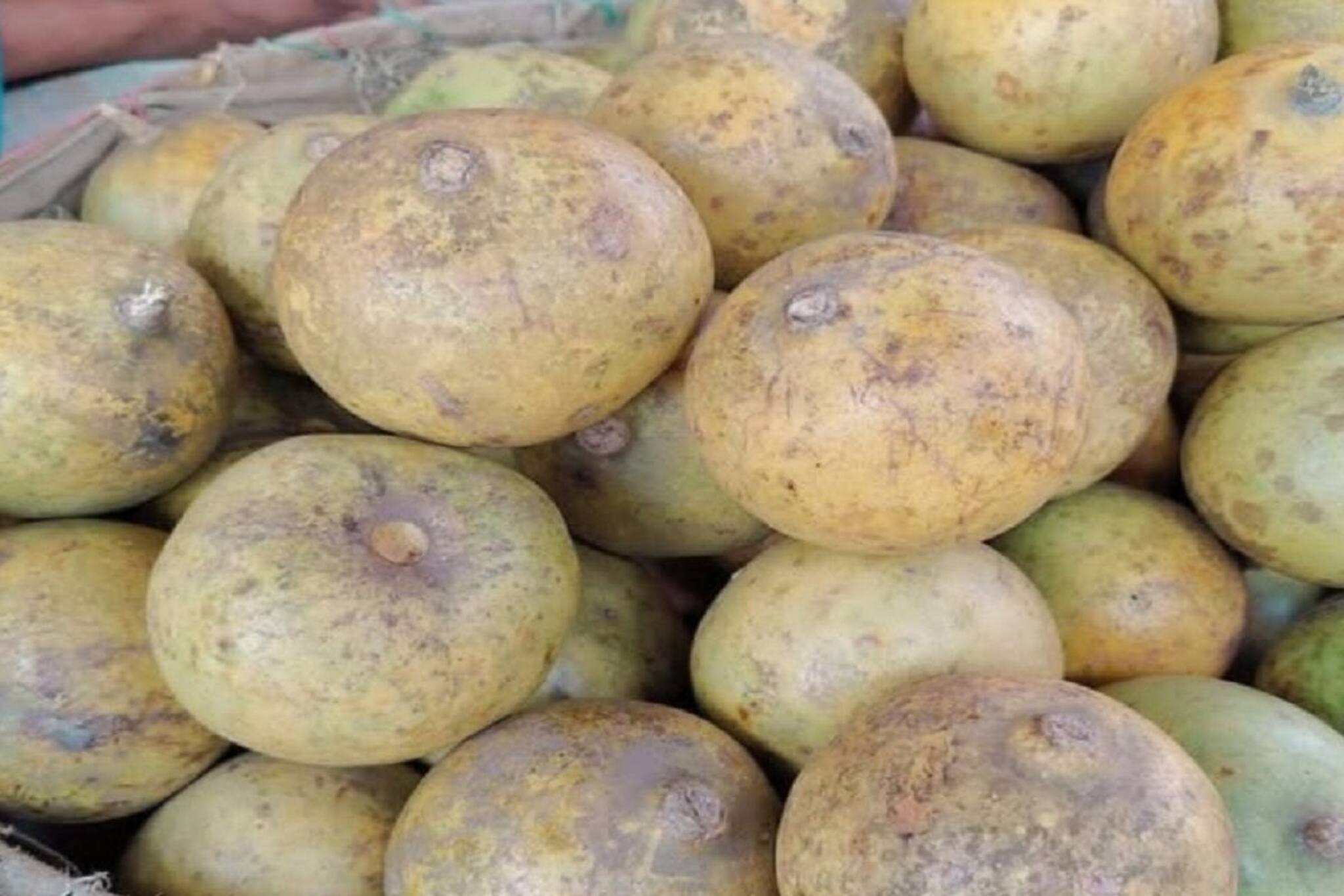 অবহেলা নয়! এই ফল বাঁচিয়ে দেয় জীবন,কমায় ডায়াবেটিস-আলসার, কীভাবে খেলে উপকার জানুন