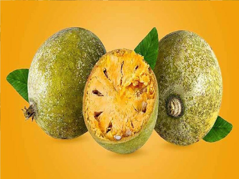 *পাকা বেলে আছে অ্যান্টি মাইক্রোবায়াল উপাদান, যা যক্ষ্মা কমাতে সাহায্য করে। তবে ভালো ফল পেতে আপনাকে ব্রাউন সুগারের সঙ্গে বা মধু দিয়ে বেলের শরবত করে রাতে খেতে হবে ঘুমাতে যাওয়ার আগে। সংগৃহীত ছবি।