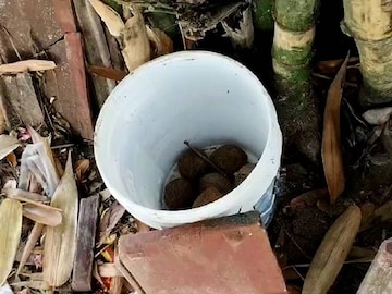 বোমা উদ্ধার মুর্শিদাবাদে