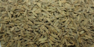 পাঁচ ফোড়নের সবথেকে গুরুত্বপূর্ণ, এক মশলায় একশো লাভ! ওষধি গুণে ভরপুর জিরে ২২টি রোগের ওষুধ