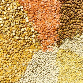 দীর্ঘদিন ধরে রেখে দেওয়া ডালে পোকা ধরবে না আর, বয়ামের বিস্কুট থাকবে মচমচে! ছোট্ট টিপস্