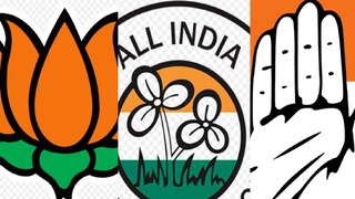 ওয়েবসাইটে তথ্য আপলোড করল কমিশন