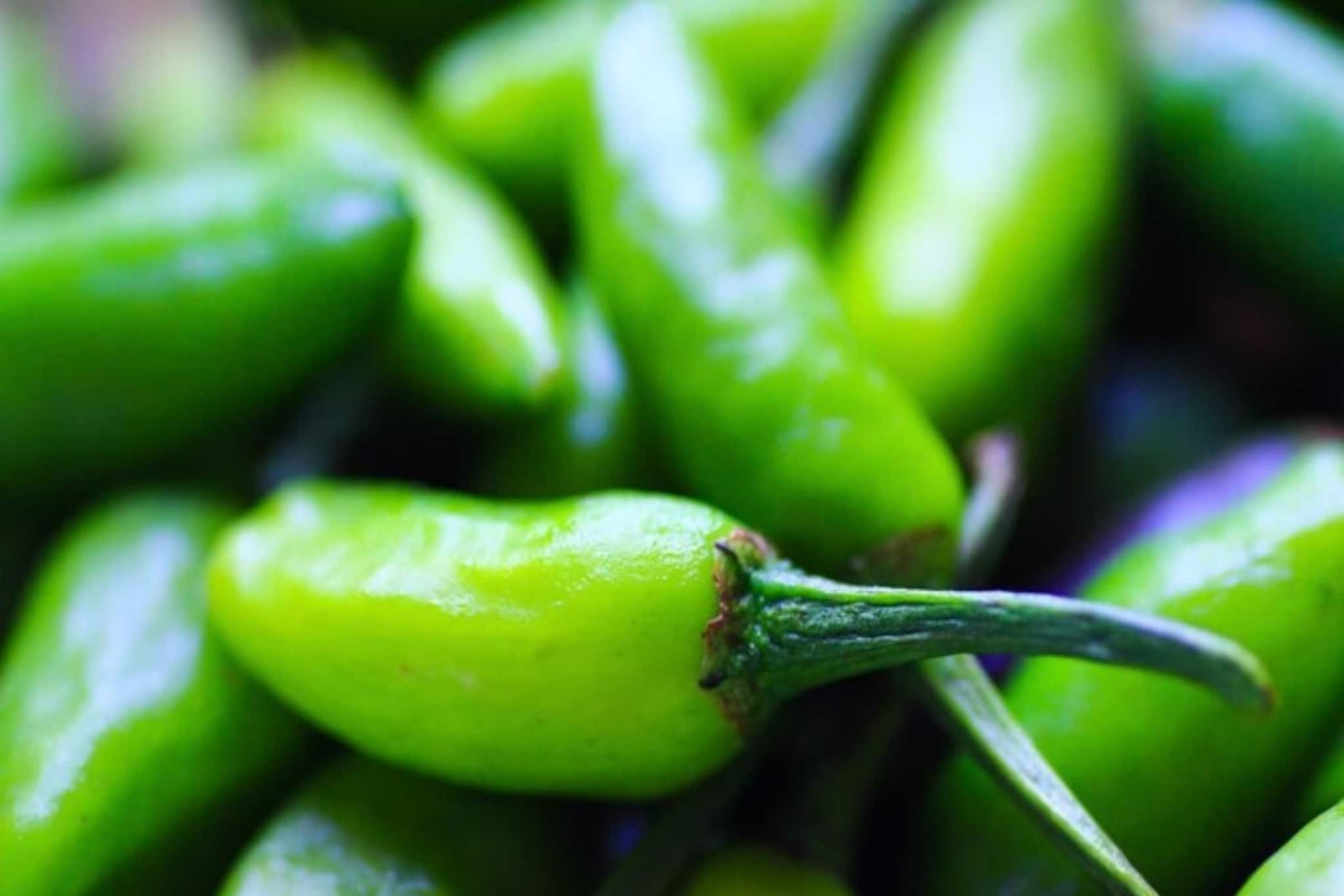 ঝাল খেলেই বিপদ? না, রোজ একটা কাঁচালঙ্কা হতে পারে শরীরের বন্ধু