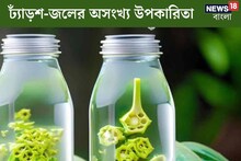 ঢ্যাঁড়শের জল? শুনেই গুলিয়ে উঠছে গা! অথচ এক চুমুকেই জটিল রোগ সারবে, কখন খাবেন!