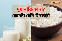 দুধ না ছানা, কোনটা বেশি উপকারী? কোলেস্টরল, হার্টের অসুখ থেকে মুক্তি পাবেন কীসে!