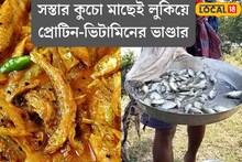 গরিবের মাছ বলে এড়িয়ে যান? স্বাদে হিট, গুণেও চমক! কাঁটাশুদ্ধ চিবিয়ে খেলেই চাঙ্গা