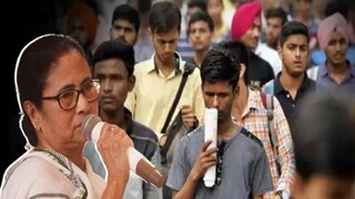 প্রচুর চাকরির সুযোগ প্রচুর চাকরির সুযোগ