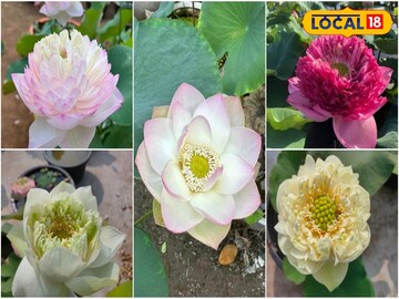 বিভিন্ন