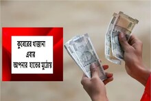 ২২ পয়সার শেয়ার কাঁপাচ্ছে,১ লক্ষ টাকা এই ক'দিনে লাফিয়ে বেড়ে ৪ লক্ষ টাকা