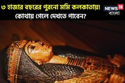 সাড়ে ৩ হাজার বছরের পুরনো মমি আছে কলকাতায়! কোথায় জানেন? দেখতে গিয়েছেন কখনও?