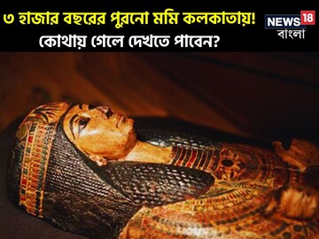 সাড়ে ৩ হাজার বছরের পুরনো মমি আছে কলকাতায়! কোথায় জানেন? দেখতে গিয়েছেন কখনও?