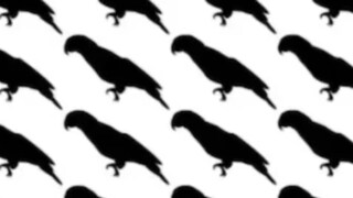 (Picture Source: Freshers Live) (Picture Source: Freshers Live)