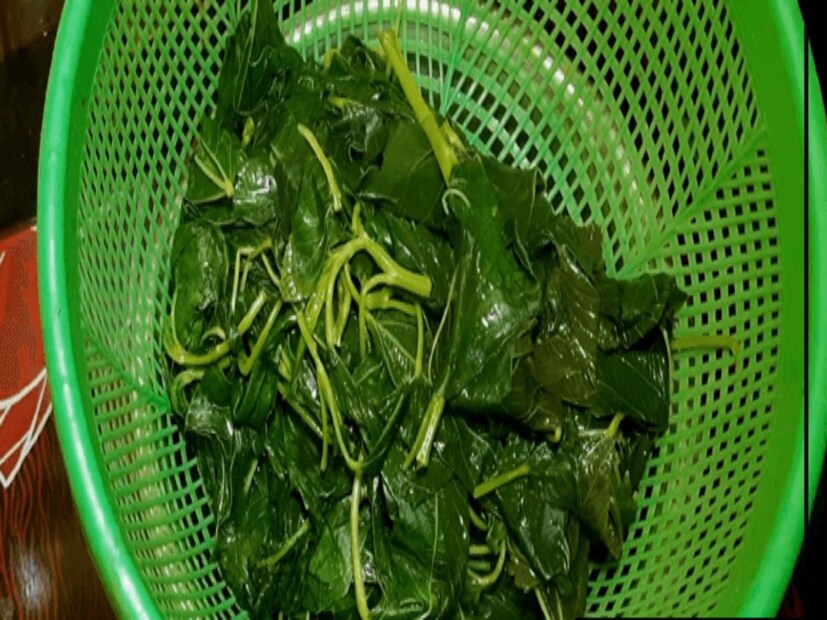 এভাবেই নিয়মিত সেবনে ম্যাজিকের মতোই ইউরিক অ্যাসিড নিয়ন্ত্রণ করে পাটশাক। তাই গরমের ডায়েটে পটুয়া বা পাটশাক অন্তর্ভুক্ত করা ইউরিক অ্যাসিড রোগীদের জন্য খুব উপকারী হতে পারে।