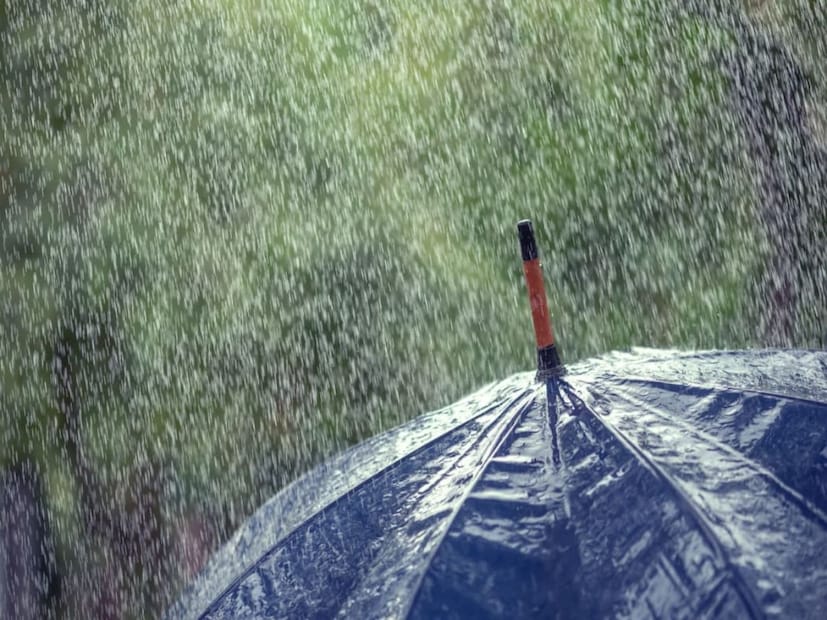 তবে ২ এবং ৩ জুলাই অর্থাৎ মঙ্গল ও বুধবার দক্ষিণবঙ্গের সব জেলায় বৃষ্টি জারি থাকবে। ২ এবং ৩ জুলাইতে উত্তরেরও সব জেলায় বৃষ্টি জারি থাকবে বলে জানিয়েছে হাওয়া অফিস।