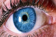 কোন 'ভিটামিনের' অভাবে চোখ খারাপ হয় জানেন...? Eyesight বাঁচাতে 'এইগুলি' খান!