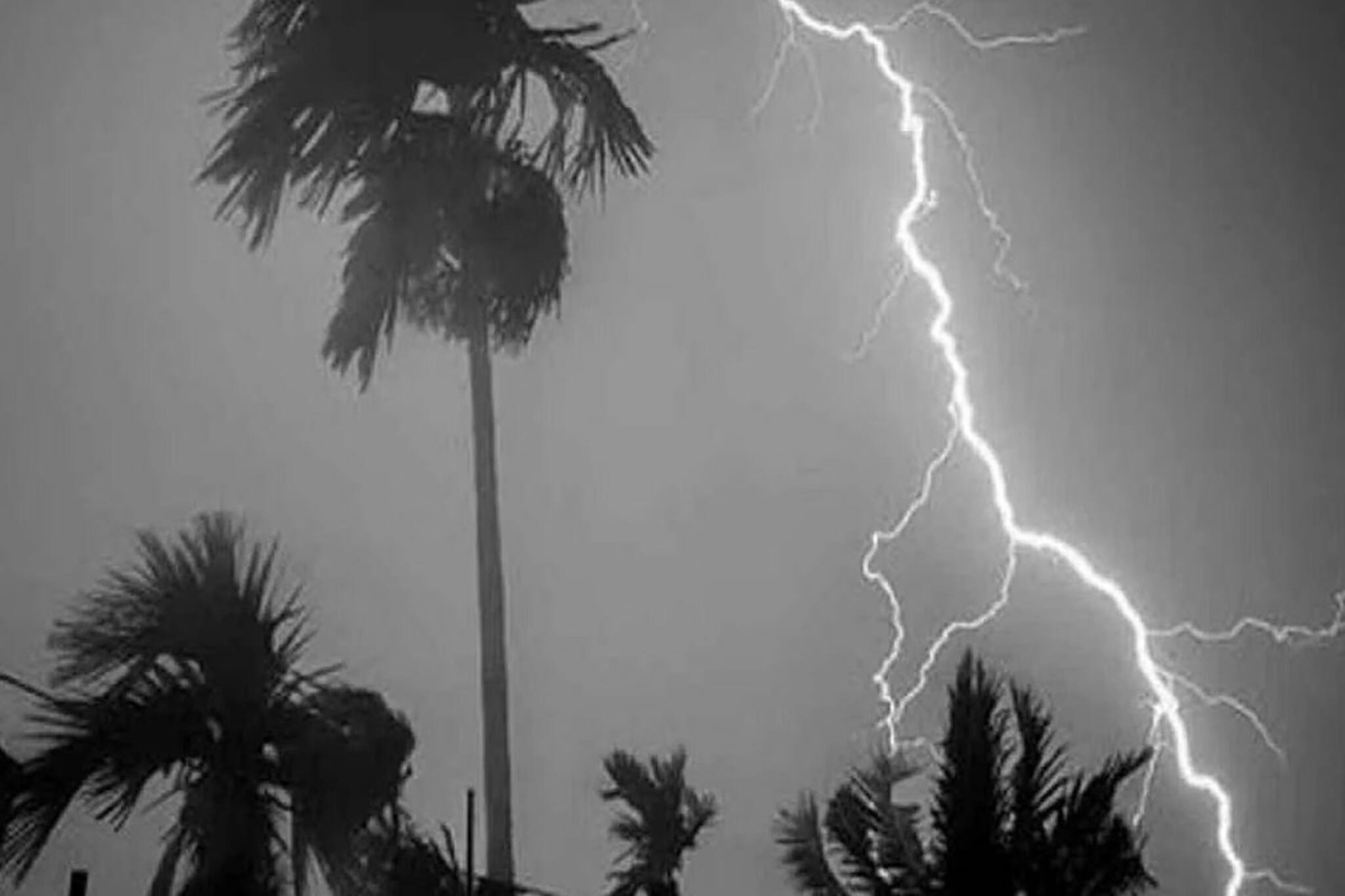 দক্ষিণবঙ্গ জুড়ে ঝড়-বৃষ্টি-বজ্রপাত তাণ্ডব...! ৪০কিমি/ঘণ্টায় এলোপাথাড়ি বাতাস!