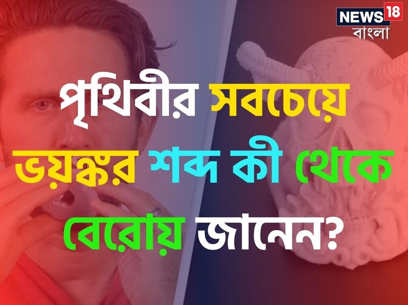 সিনেমায় অনেক সময় অনেক শব্দ শুনলে মনে আতঙ্ক জাগে। বাস্তবেও কিছু কিছু শব্দ শুনলে প্রচণ্ড ভয় লাগে। কিছু ছবি, কিছু সিনেমা ভয়ের কারণ হয়ে দাঁড়ায়। কিন্তু জানেন পৃথিবীর সবচেয়ে ভয়ঙ্কর শব্দ কি? সম্প্রতি বিজ্ঞানীরা ফের নতুন করে তৈরি করেছেন বিশ্বের সবচেয়ে ভয়ঙ্কর শব্দ।