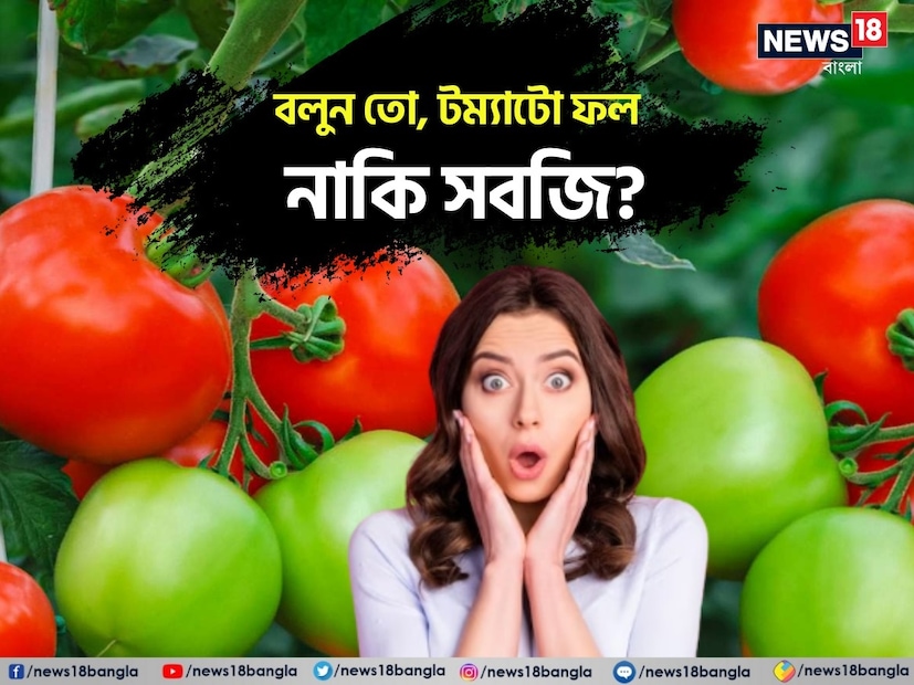 টম্যাটো ফল নাকি সবজি? এ প্রশ্নের উত্তর অনেকেই হয়তে জানেন না। আসলে ভারতীয়দের রান্নাঘরে টম্যাটোর প্রবেশ হয়েছে অনেক দেরি করে। কারণ আগে নাকি অনেকেই টম্যাটোকে ফল ভেবে ভুল করেছিলেন।