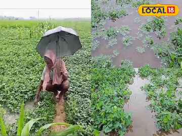 জলের