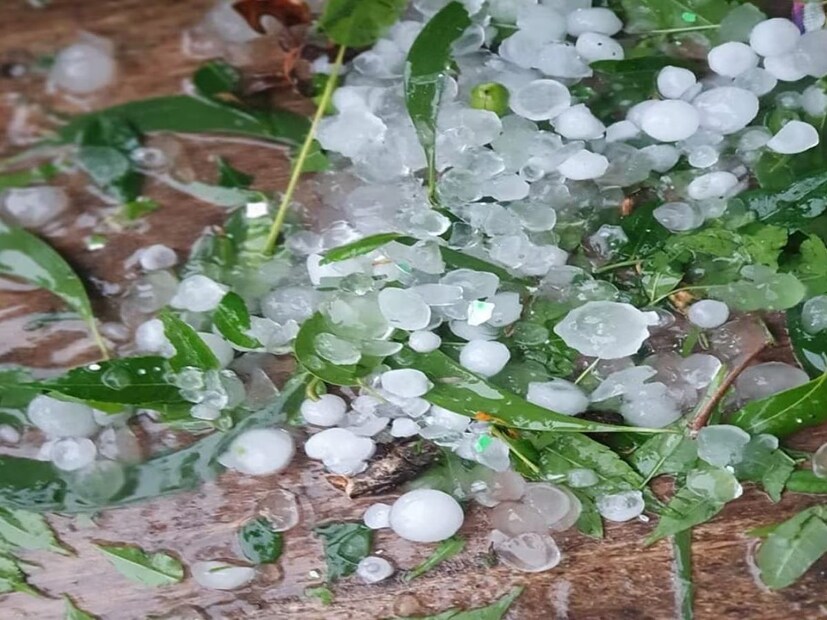  শিলাবৃষ্টির সতর্কতাও জারি করেছে আবহাওয়া দফতর। মঙ্গলবার পর্যন্ত দক্ষিণবঙ্গ জুড়ে অরেঞ্জ অ্যালার্ট জারি করা হয়েছে। বুধবারে দক্ষিণবঙ্গ জুড়ে থাকছে হলুদ সতর্কতা।