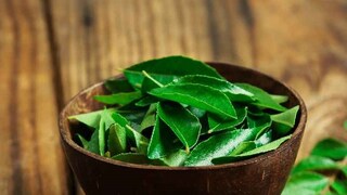 কারিপাতার গুণ