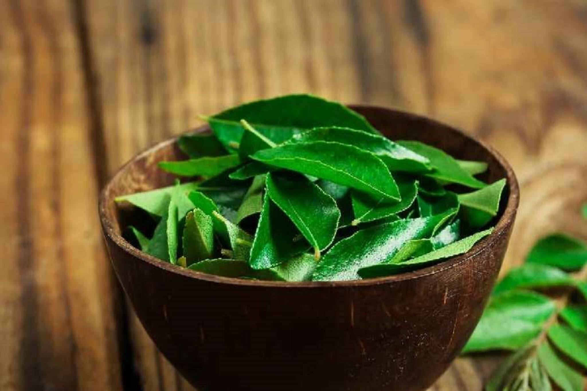 শুধু রান্নায় স্বাদ বাড়ানোই নয়, রক্তচাপ কমাতেও সাহায্য করে এই পাতা