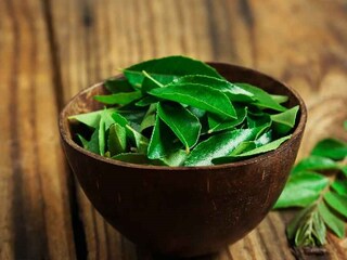 কারিপাতার গুণ