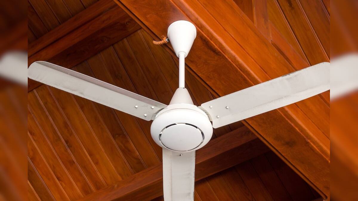 Ceiling fan ফ্যানের স্পিড কমালে কি Electric বিল কম আসে? কোন 'নম্বরে