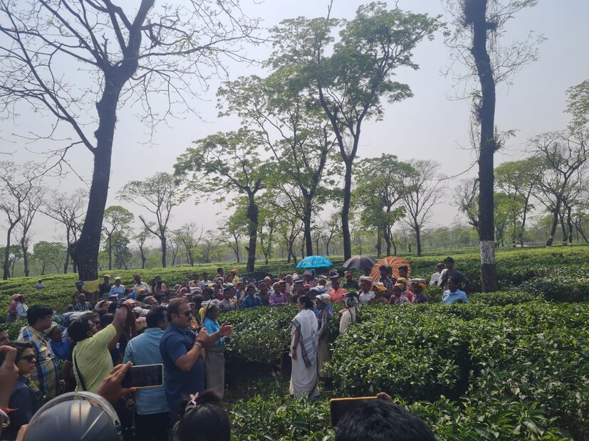 কখনও চা বাগানে, কখনও স্কুল পড়ুয়াদের সঙ্গে জনসংযোগ করতে দেখা গেল মমতা বন্দ্যোপাধ্যায়কে। 