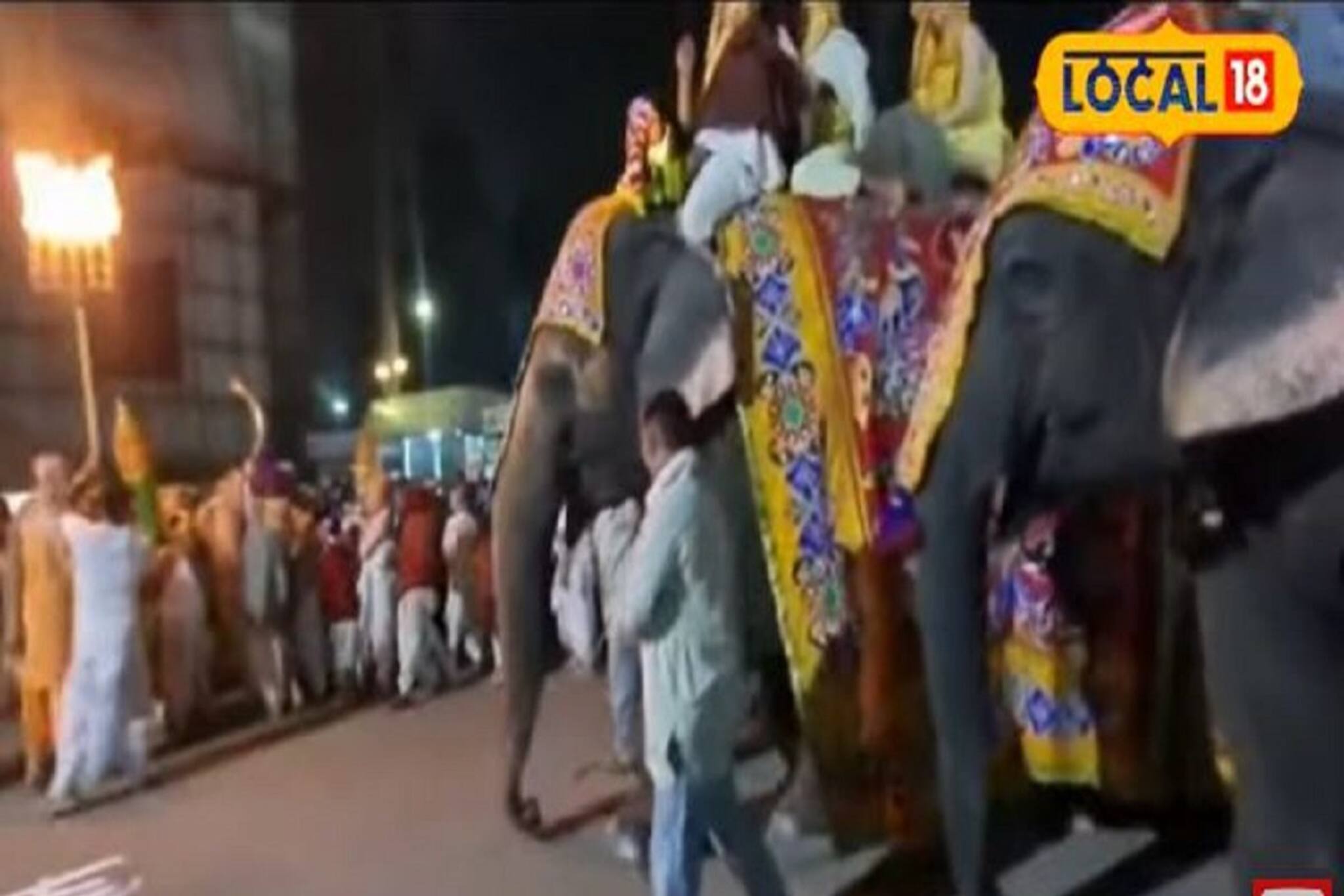 মন্দিরে পোষা হাতির আক্রমণ, এরপরই ঘটল হাড়হিম করা কাণ্ড, দেখুন