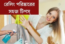 বাড়ির রেলিংয়েই পুরু ধুলোর স্তরে কিলবিল করছে জীবাণু! এই টিপস মেনে করুন পরিষ্কার