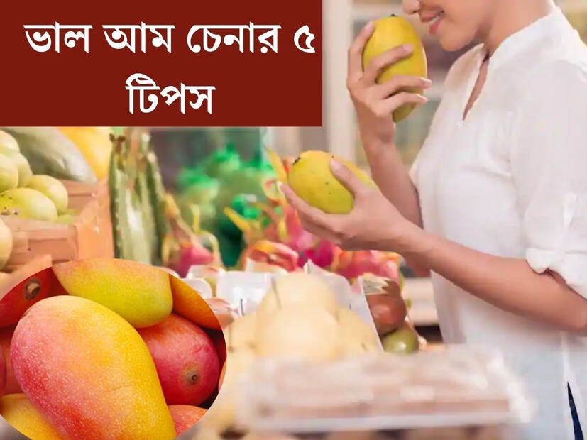 গরম পড়লেই আমের গন্দে ম ম করে ওঠে প্রতিটি বাঙালি বাড়ি। বাজারে গিয়ে বাকি সব ছেড়ে প্রথমেই যে একটি ফলের দিকে দৃষ্টি যায়, তা হল আম। রসালো মিষ্টি স্বাদের আম ছাড়া গরমে রসনা তৃপ্তির কথা ভাবাই যায় না। 